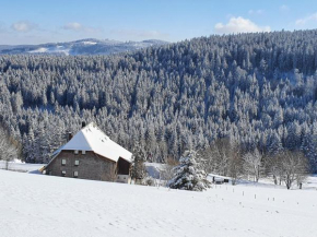 Rinken 9 Hinterzarten